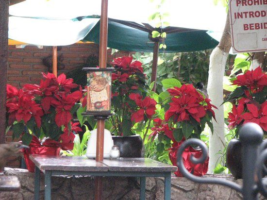 El Bigotes Carnitas el Camino